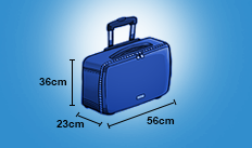 Cabin Baggage