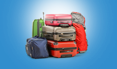 Excess Baggage